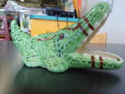 crocscrubby.JPG