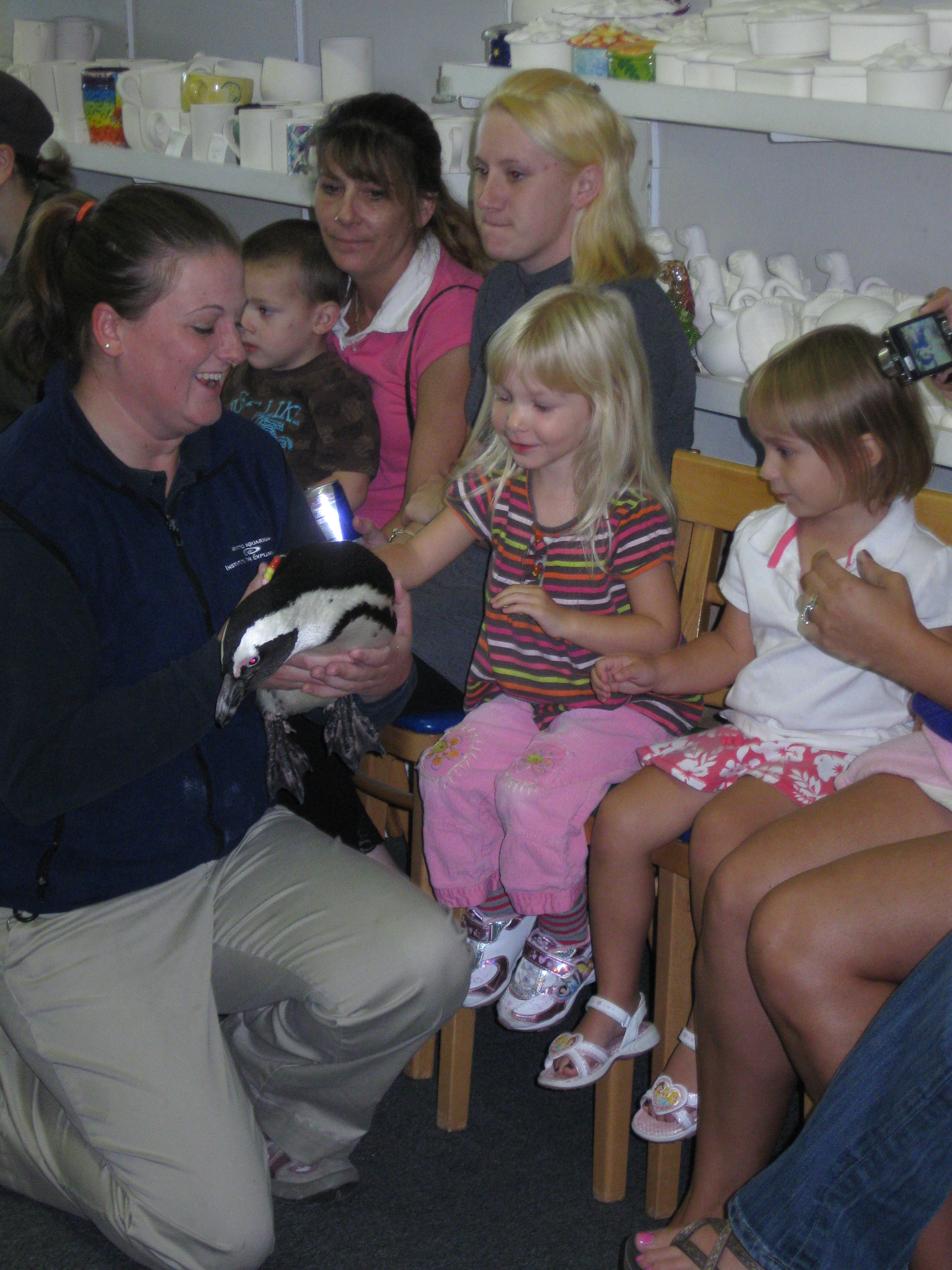 NewSamples/Penguins8.JPG