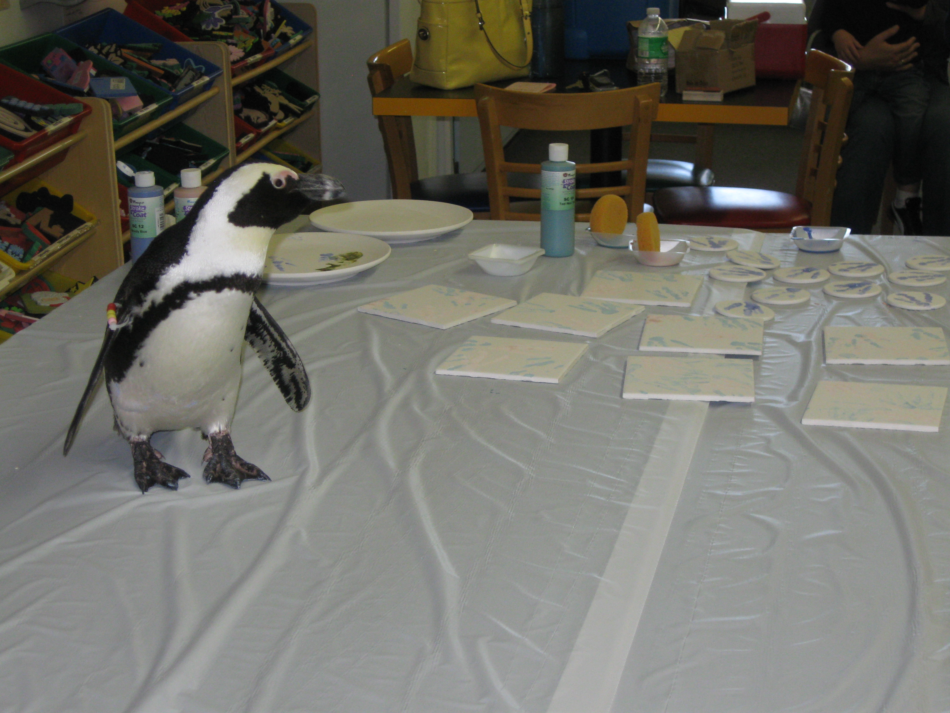 NewSamples/Penguins8.JPG